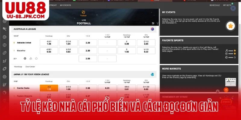 Tổng hợp tỷ lệ kèo nhà cái phổ biến và cách đọc đơn giản tại thể thao UU88